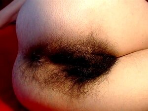 Haariges Web,