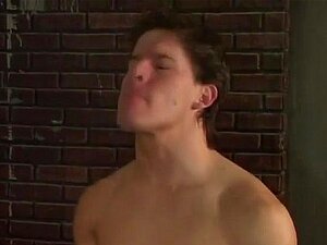 Bären-Anal zerstört