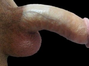 Großer schwanz weiße bilder
