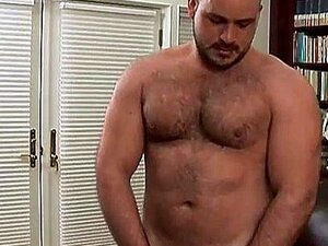 Медвед сања длакави курац