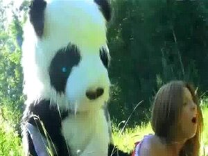 Amateur-Plüschpanda mit Fake-Cum