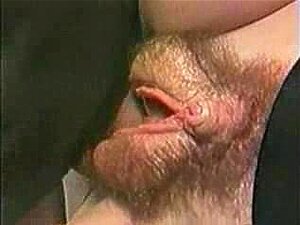 Riesige Muschi-Fisting FM14