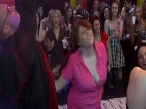 Bang Wild Patty im Nachtclub