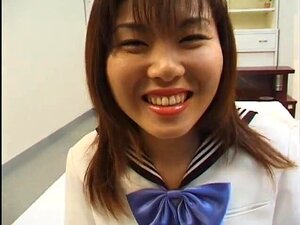 Japansk katt 6-1 av PACKMANS