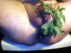 cam-session 04