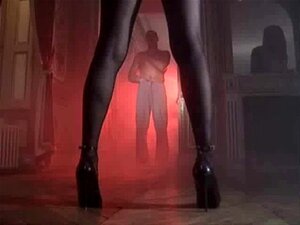 Schau dir die besten Pornostars in ihrer Hochphase an, wie sie ihre