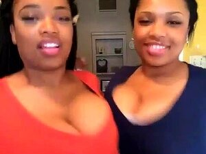 Großtittige Zwillinge