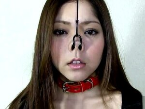 Video per adulti folle 60FPS prova a guardare solo qui