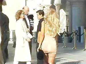 Kaksi puumaa nuolemassa pillua