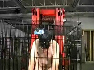 Kille förnedrad av snuskig grupp