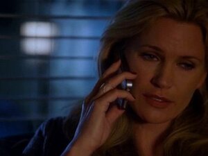 Natasha Henstridge , andere Frauen... - Ehrenabzeichen. Natasha