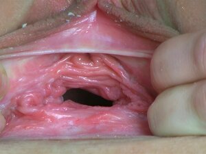 CLOSE-UP KUT